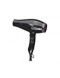 Secador Profesional X2...